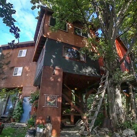 Cottonwood Cabins Fritz Creek Extérieur photo