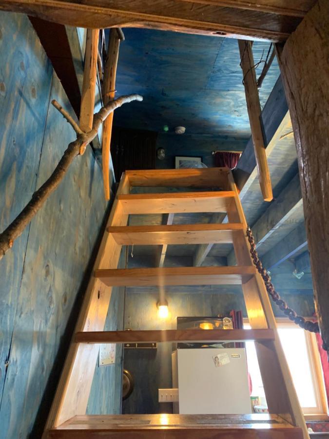 Cottonwood Cabins Fritz Creek Extérieur photo