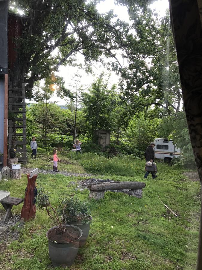Cottonwood Cabins Fritz Creek Extérieur photo