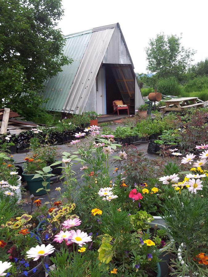 Cottonwood Cabins Fritz Creek Extérieur photo