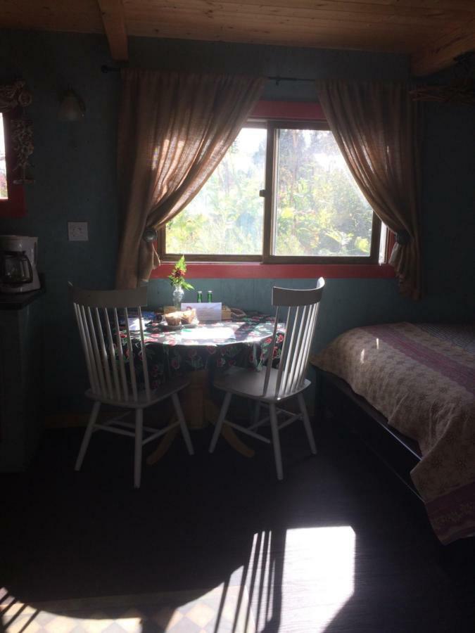 Cottonwood Cabins Fritz Creek Extérieur photo
